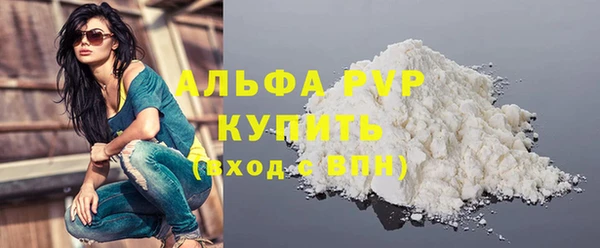 стафф Новозыбков