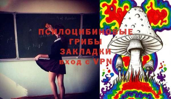 mix Новодвинск
