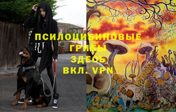 метадон Кедровый