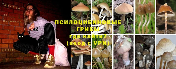 ГАЛЛЮЦИНОГЕННЫЕ ГРИБЫ Нея