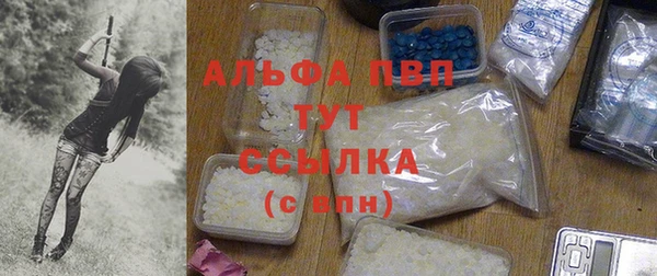 стафф Новозыбков
