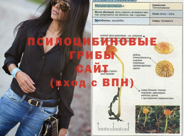 стафф Новозыбков
