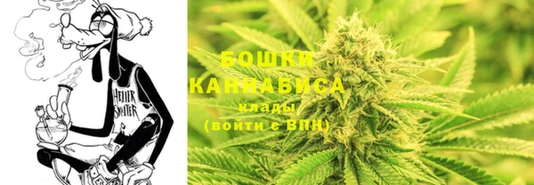 стафф Новозыбков