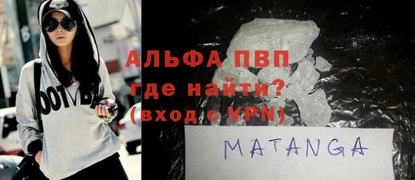 стафф Новозыбков