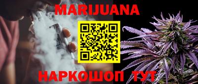 твердый Камышлов