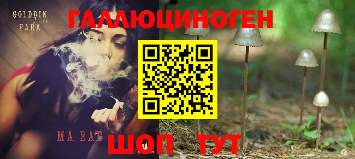 Реж  Псилоцибиновые грибы мицелий  Вход с VPN  Псилоцибиновые грибы Psilocybine cubensis 