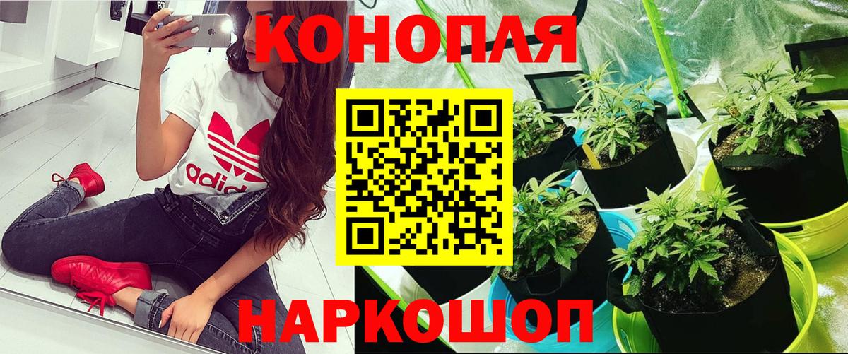 Реж  Бошки марихуана SATIVA & INDICA  Бошки Шишки семена  Вход с VPN  Бошки марихуана Bruce Banner 